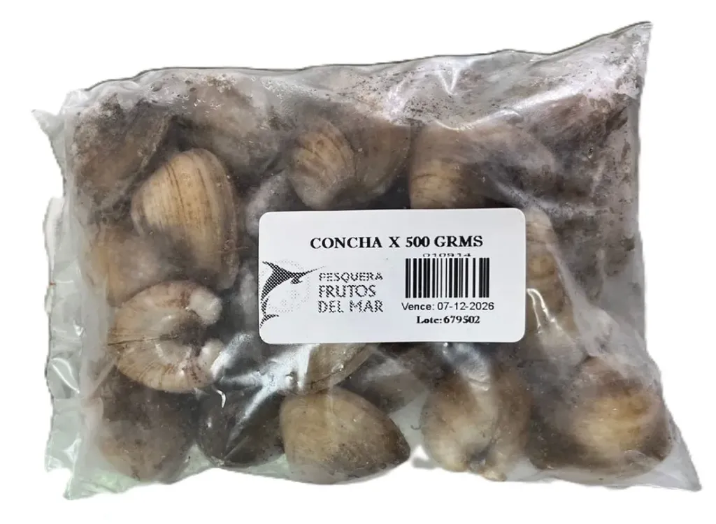 Almeja Concha VT