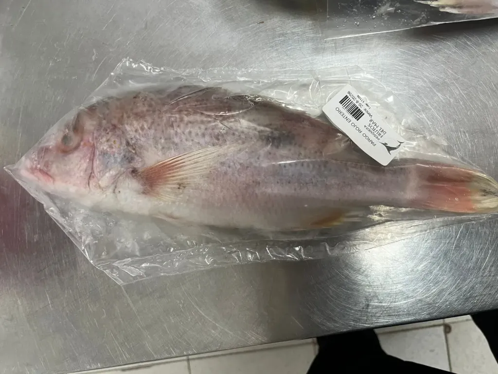 [PES-06-PARGO] Pargo rojo entero