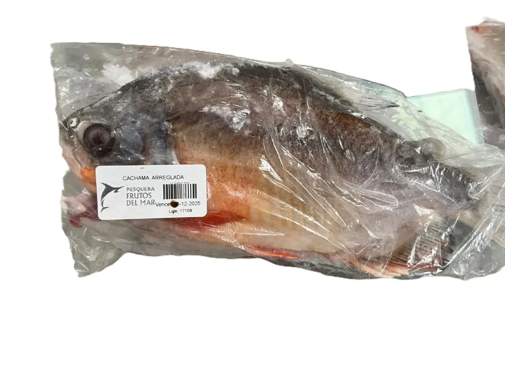 [PES4001] Cachama arreglada